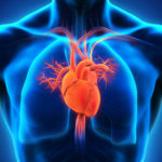 Novel Protein Interactions May Serve as Biomarker for Heart Disease