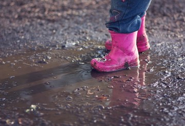 How your brain learns to expect mud puddles in the park (and other things)