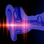 Investigating Protein’s Role in Hearing Loss