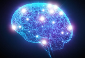 $6.3 Million Grant to Explore Brain Stimulation