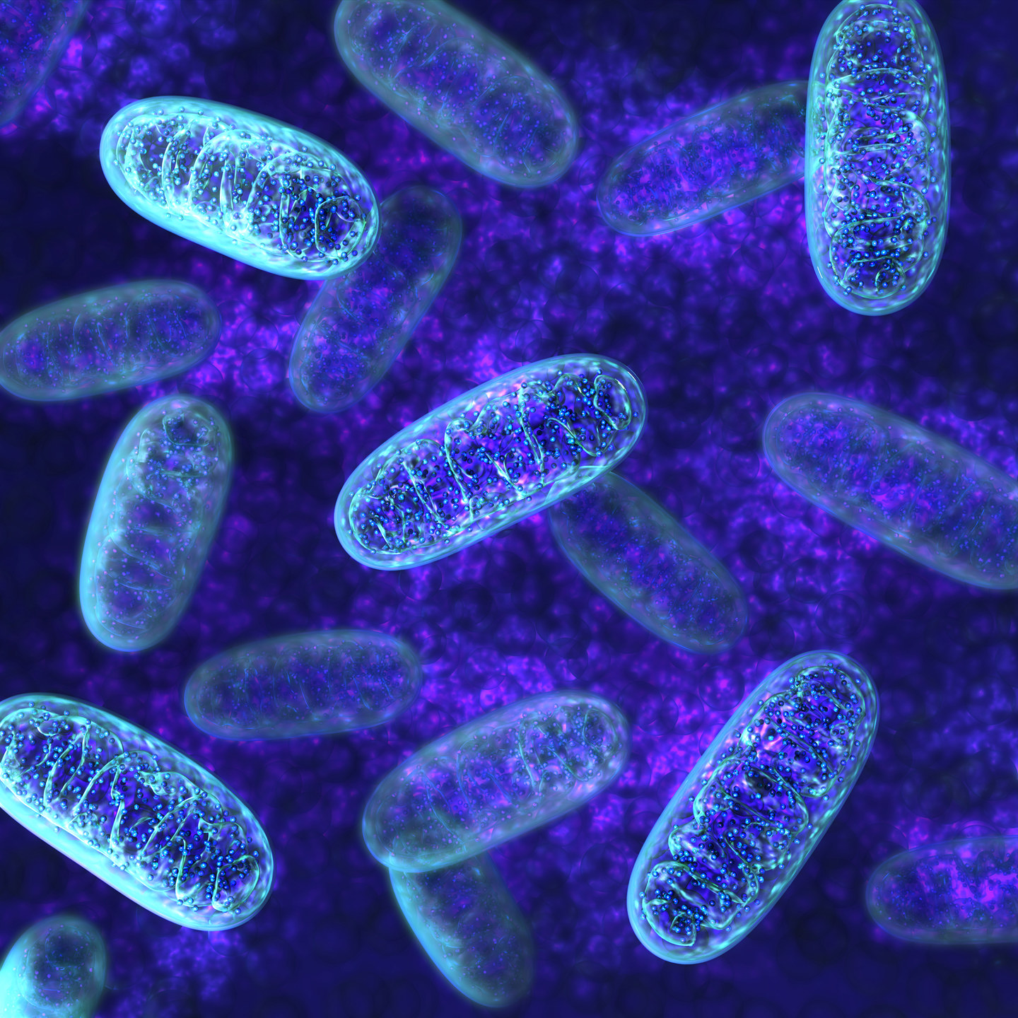 Understanding Mitochondrial Dysfunction’s Impact on Neurological Diseases