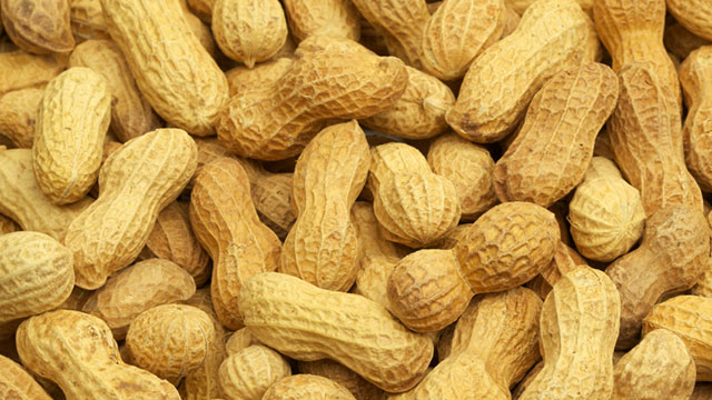 New Cancer Drug May Also Curb Peanut Allergies