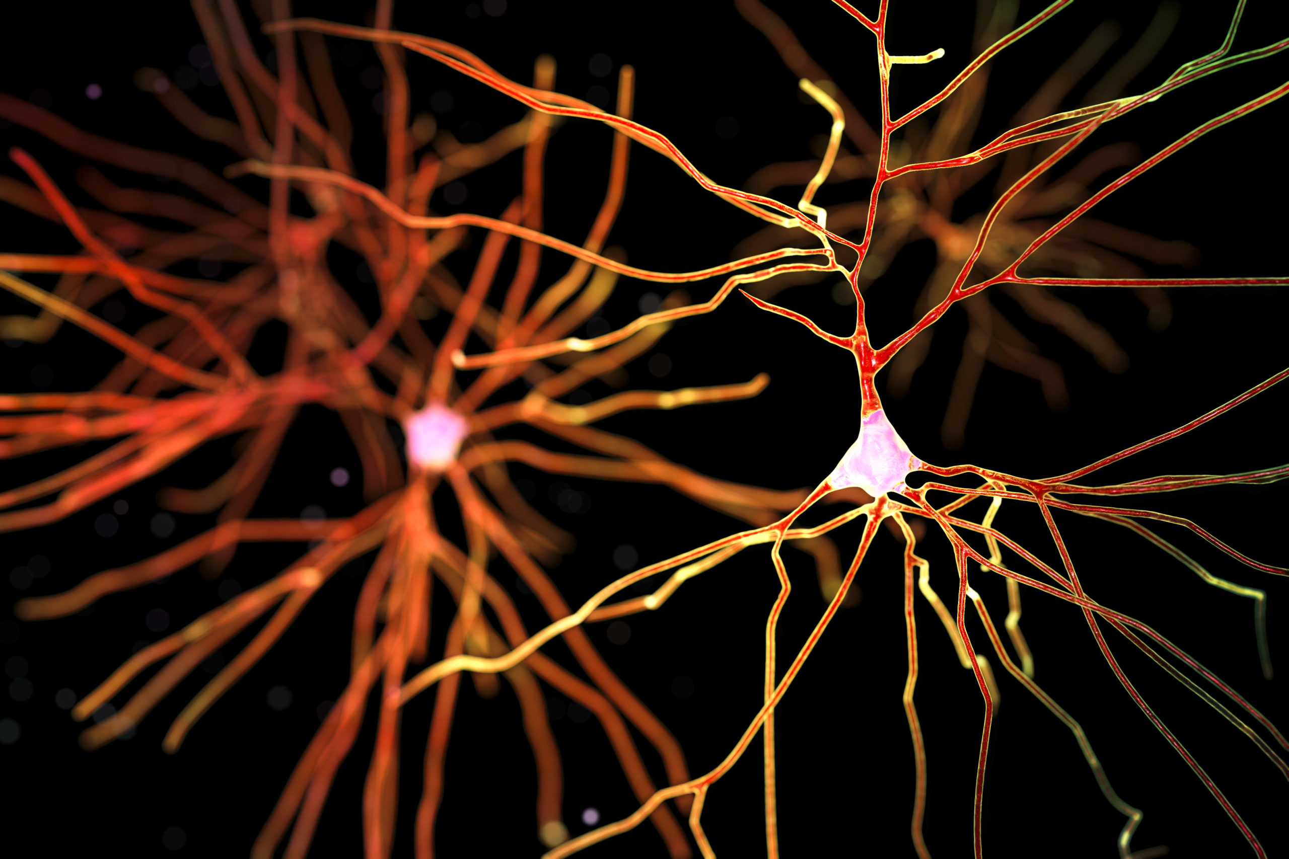 New Therapeutic Target for Parkinson’s Disease Discovered