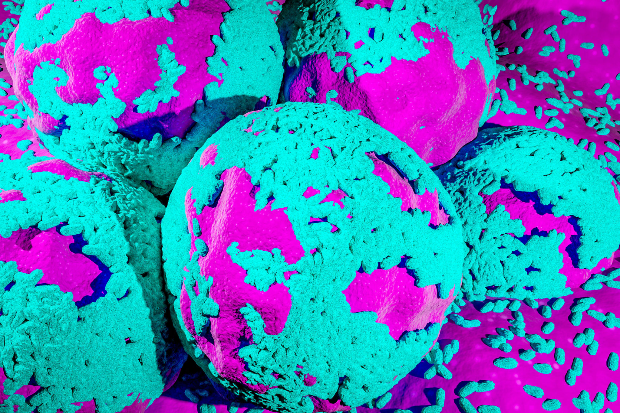 Reprogramming compromised immune cells to fight cancer news center
