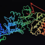 Improving the Design of New Protein Structures