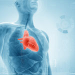 Increasing Early Cardiovascular Screenings for Dilated Cardiomyopathy   