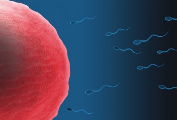 Transgender youth faced with tough decision to freeze sperm or eggs