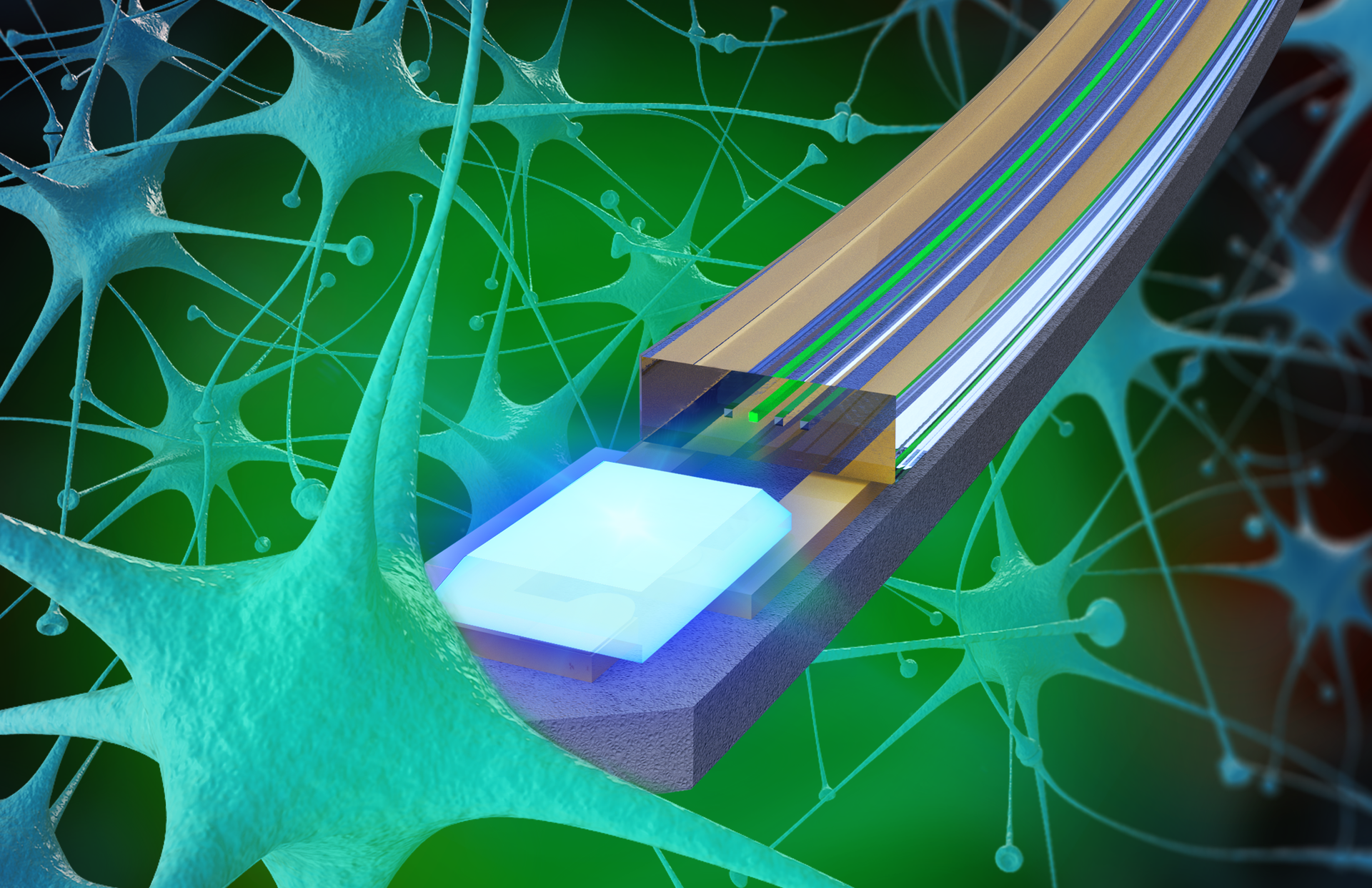 Northwestern Scientists Develop New Probes to Investigate the Brain