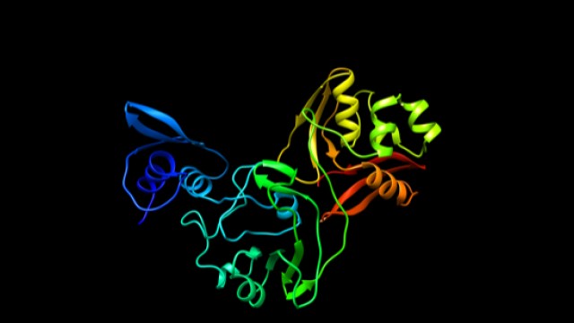 New Coronavirus Protein Reveals Drug Target