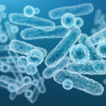 Study Identifies Mechanisms Promoting Bacterial Survival