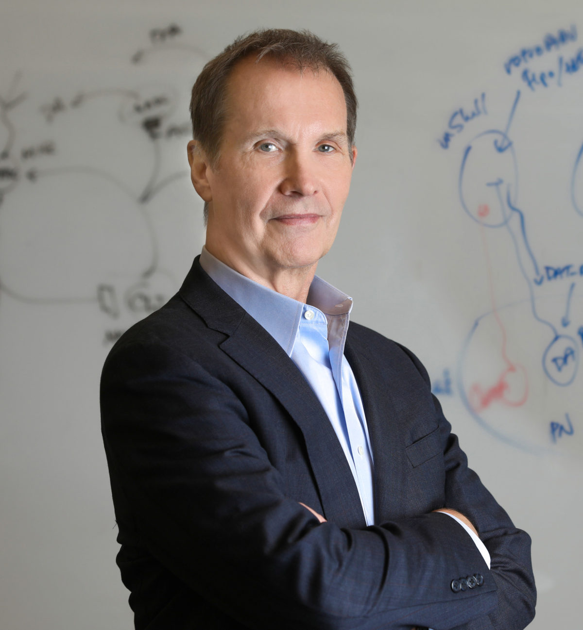 investigating-the-molecular-mechanisms-of-forgetting-news-center