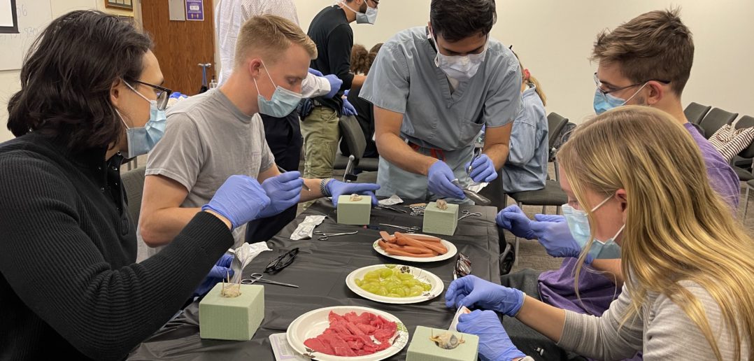 Feinberg students practiced surgical techniques on food items standing in for human tissue.