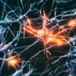 Calming the Destructive Cells of ALS by Two Independent Approaches