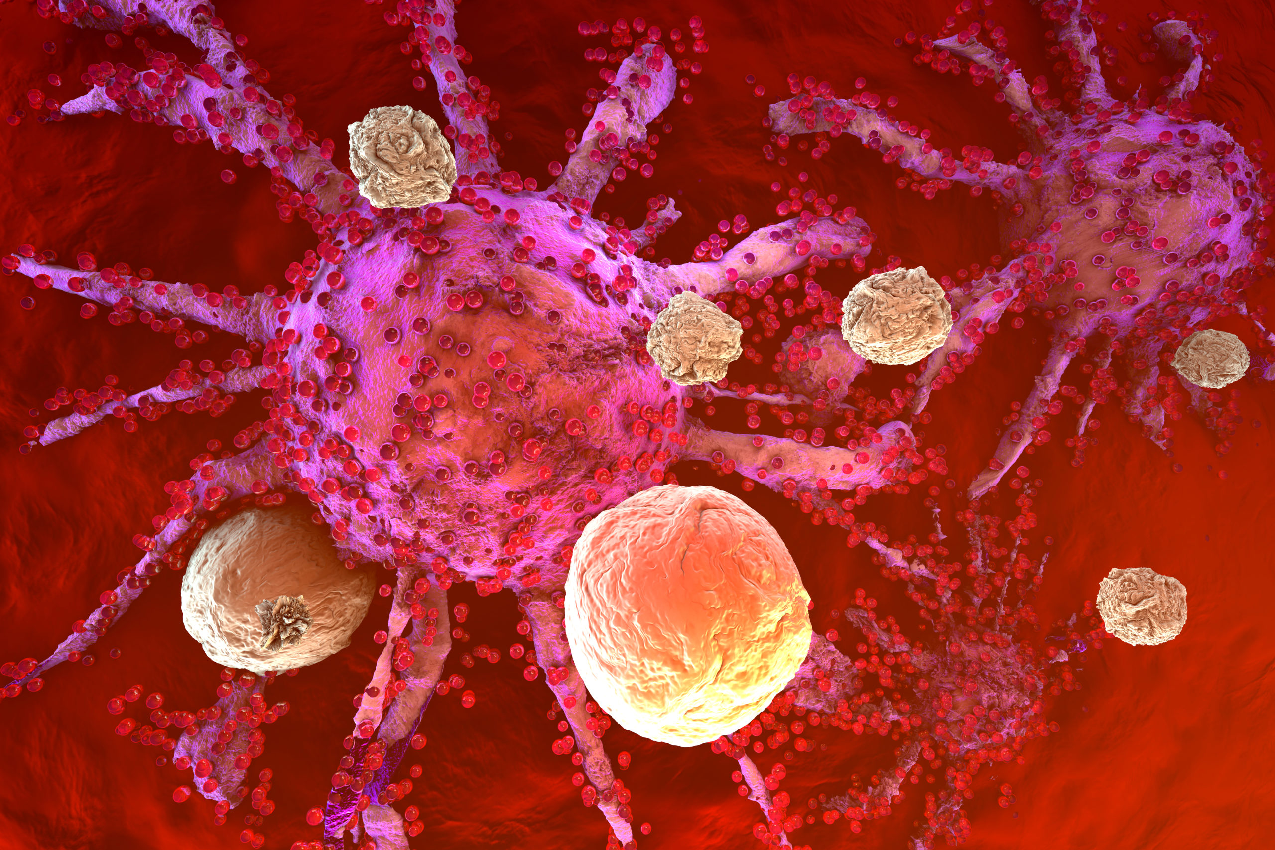 cancer immunology research