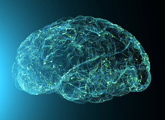 Investigating the Role of Dopamine Circuits in Habit Formation