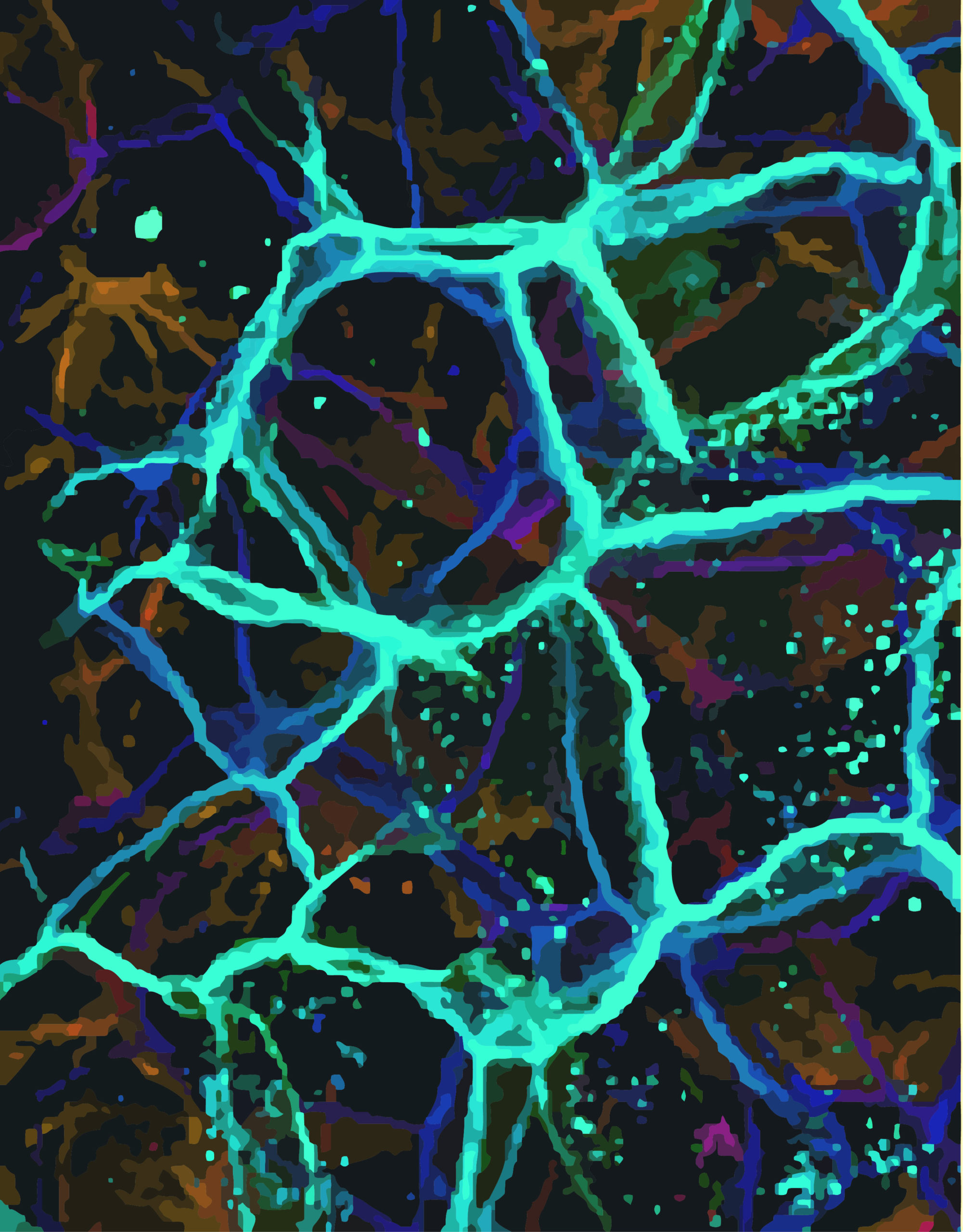 Novel Mechanisms Regulate Inflammatory Skin Diseases 