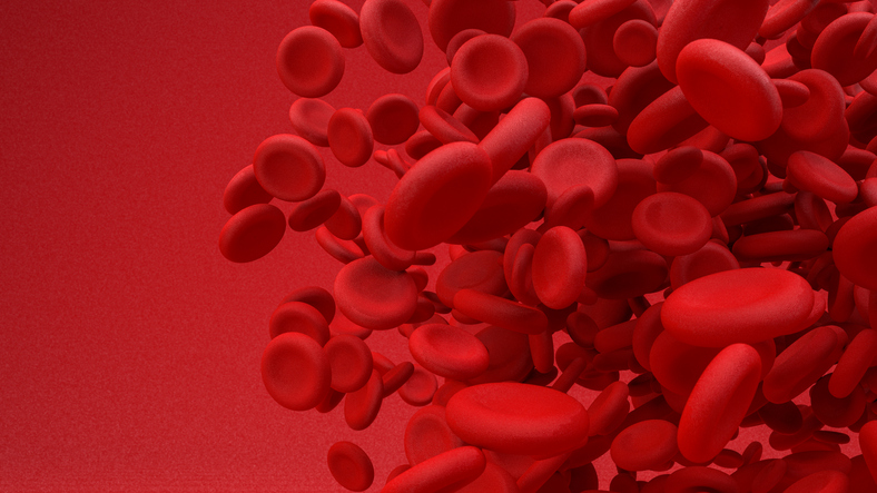 Combination Therapy Improves Outcomes for Rare Blood Disorder