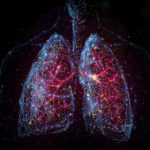 Simpson Querrey Lung Institute for Translational Science Launches