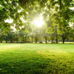 The Heart Health Benefits of Urban Green and Blue Spaces