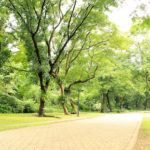 More Green Spaces Linked to Slower Biological Aging