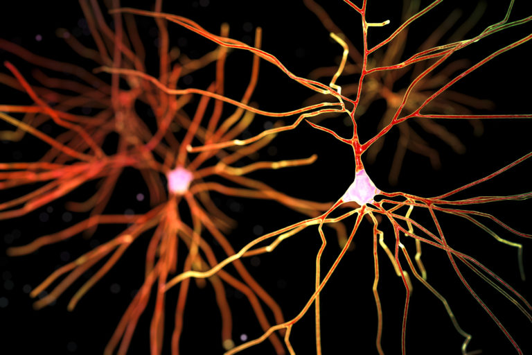 New Analytic Method Reveals ‘Building Blocks’ of Brain Activity