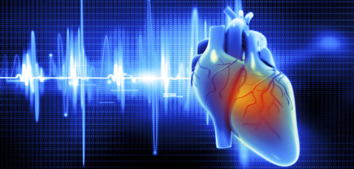 Aortic Valve Replacements and Surgery Show Similar Long-Term Survival Rates 