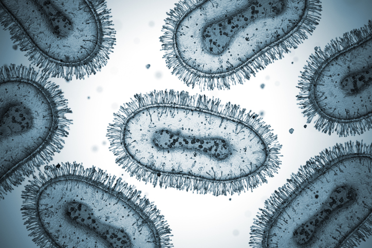 Understanding How Poxviruses Hijack Protein Production