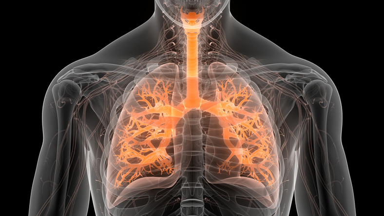 Potential Therapeutic Target for Small Cell Lung Cancer Discovered