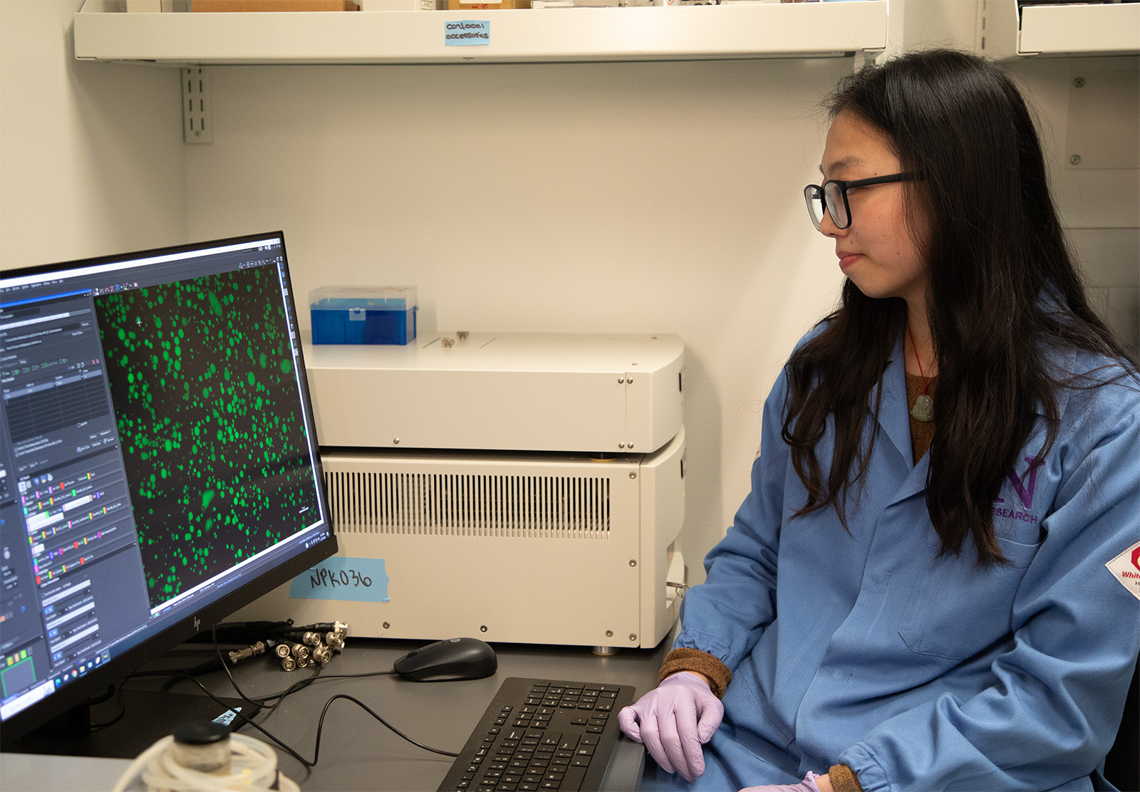 A Day in the Life: MSTP Student Juliana Feng