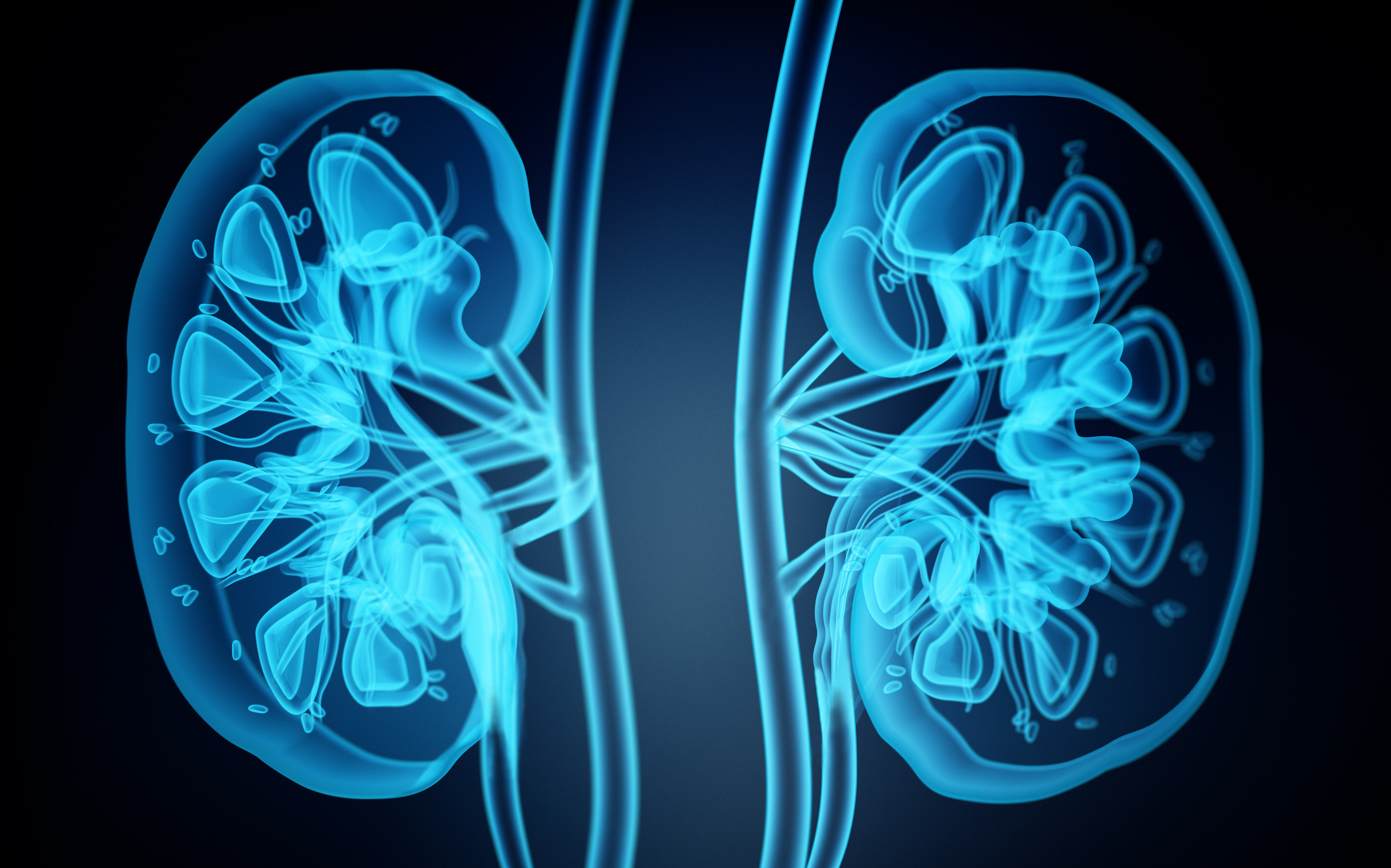 Potential Therapeutic Target for Ischemic Acute Kidney Injury Discovered