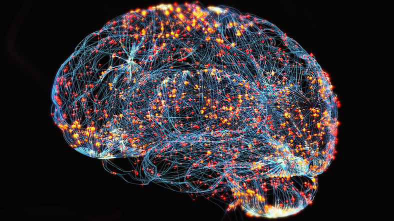 Non-Neuron Brain Cells Produce a Third of Amyloid Plaque in Alzheimer’s Disease