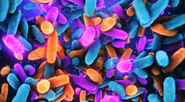 Understanding Gut Microbiome Science with Jeffrey Gordon, MD