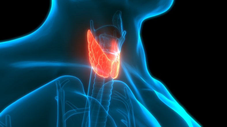 Immunotherapy Shows Potential to Treat Deadly Thyroid Cancer