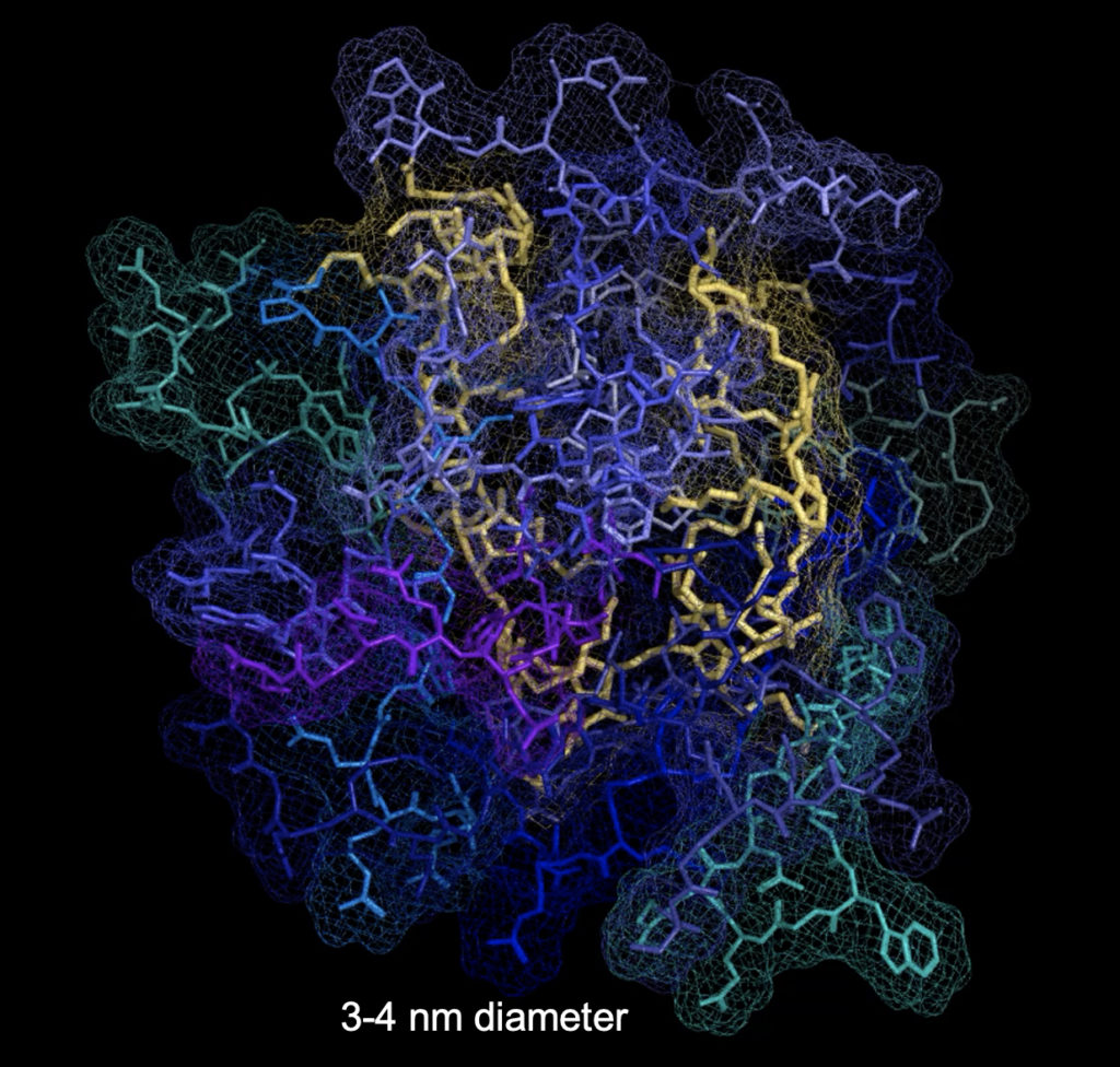 Patients with Huntington’s disease have a genetic mutation that triggers proteins to misfold and clump together in the brain. These clumps interfere with cell function and eventually lead to cell death. The new treatment leverages peptide-brush polymers, which act as a shield to prevent proteins from binding to one another. The polymer backbone is shown in yellow. Active peptides are blue and green. Credit: Nathan Gianneschi/Northwestern University