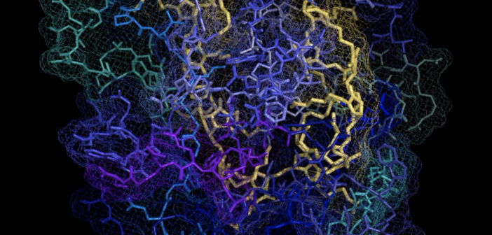 Patients with Huntington’s disease have a genetic mutation that triggers proteins to misfold and clump together in the brain. These clumps interfere with cell function and eventually lead to cell death. The new treatment leverages peptide-brush polymers, which act as a shield to prevent proteins from binding to one another. The polymer backbone is shown in yellow. Active peptides are blue and green. Credit: Nathan Gianneschi/Northwestern University