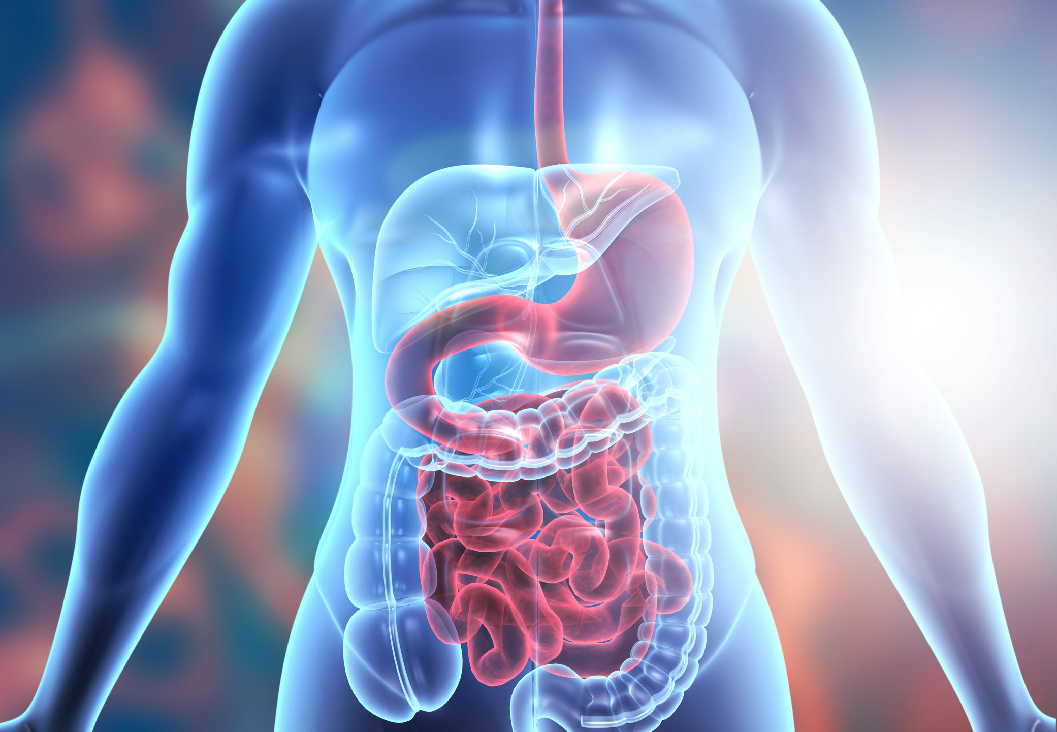 Psychological Stress May Cause Food-induced Symptoms in IBS