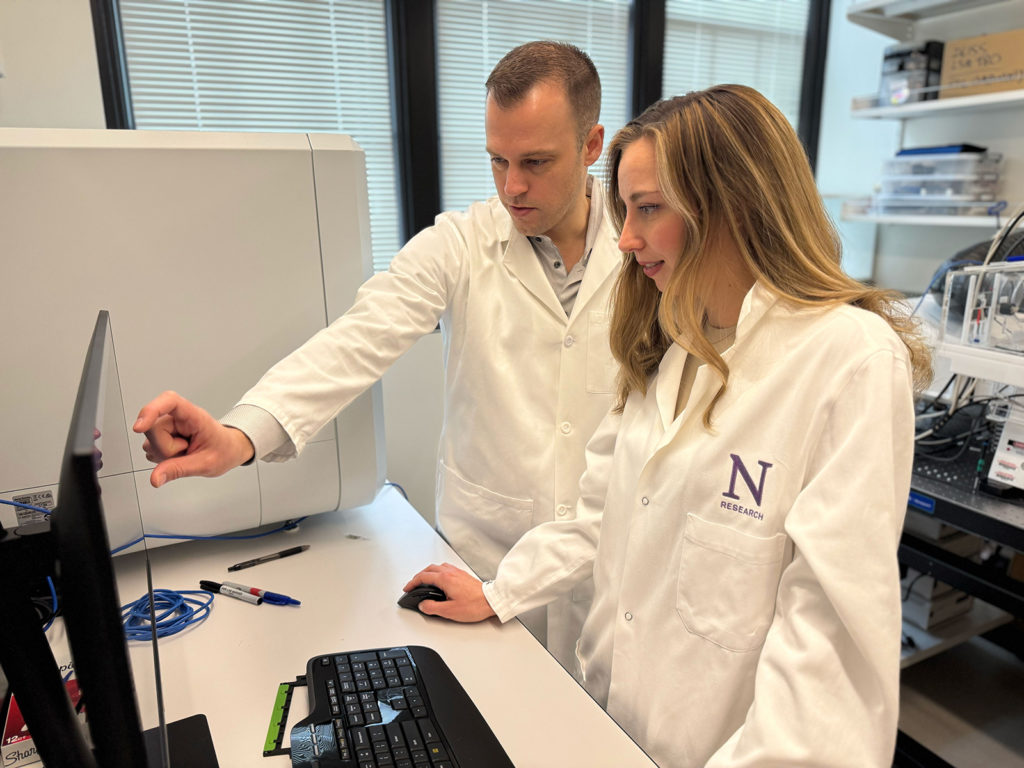 David Gate (left) and Lynn van Olst (right) examine a computer image of a treated human brain with Alzheimer's Disease.