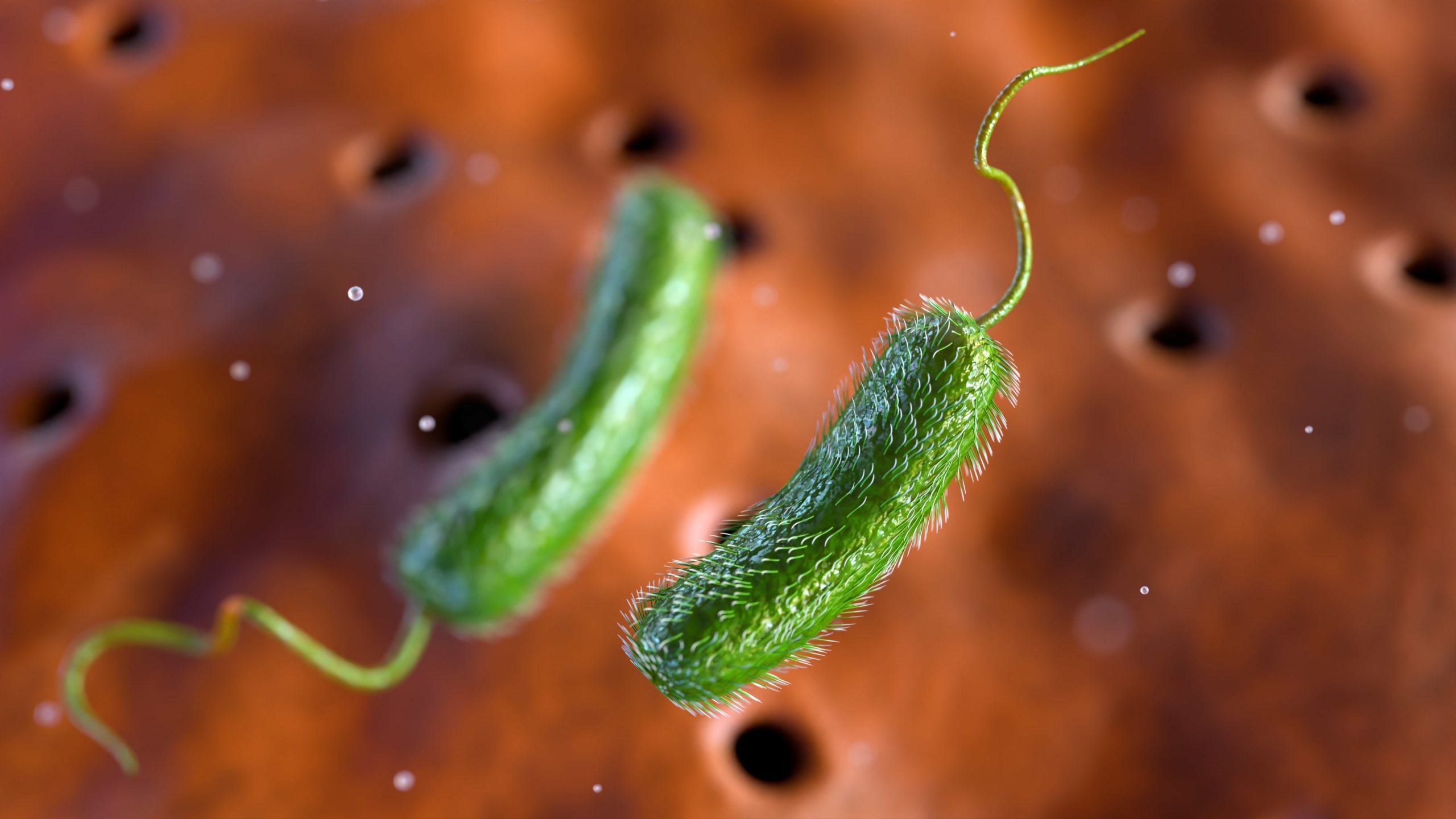 Novel Mechanisms Help Lethal Bacteria Recognize and Infect Cells