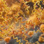 Post-Treatment Lyme Disease Syndrome May Be Driven by Remnants of Infection