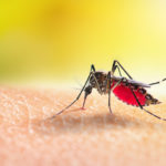 Study Uncovers Key Biological Markers in Severe Malaria