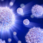 Improving Cardiac Health Through Immune System Precision with Edward Thorp, PhD