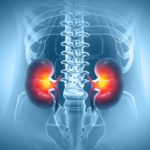 Novel Molecular Mechanisms Inform Targeted Therapies for Chronic Kidney Disease
