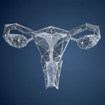 New Molecular Mechanisms of Ovarian Aging Discovered 