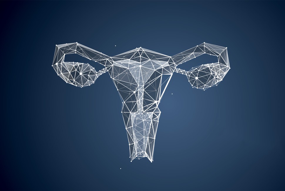 New Molecular Mechanisms of Ovarian Aging Discovered 