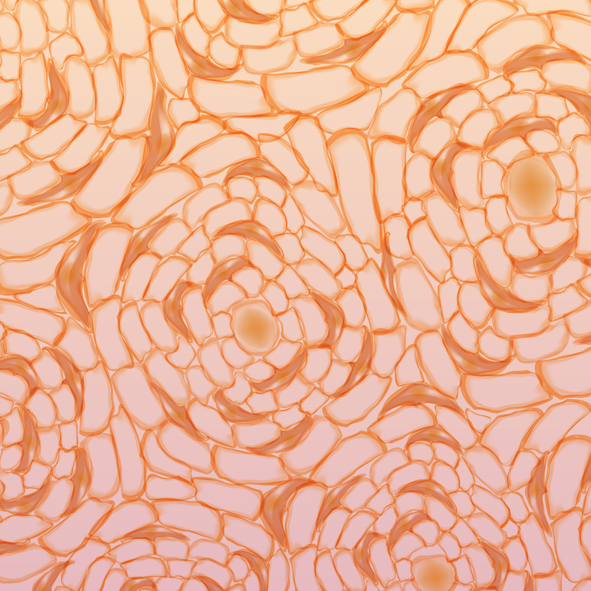 Unlocking New Methods for Bone Regeneration