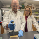 Asthma Drug Blocks Food Allergy Reactions in Mice