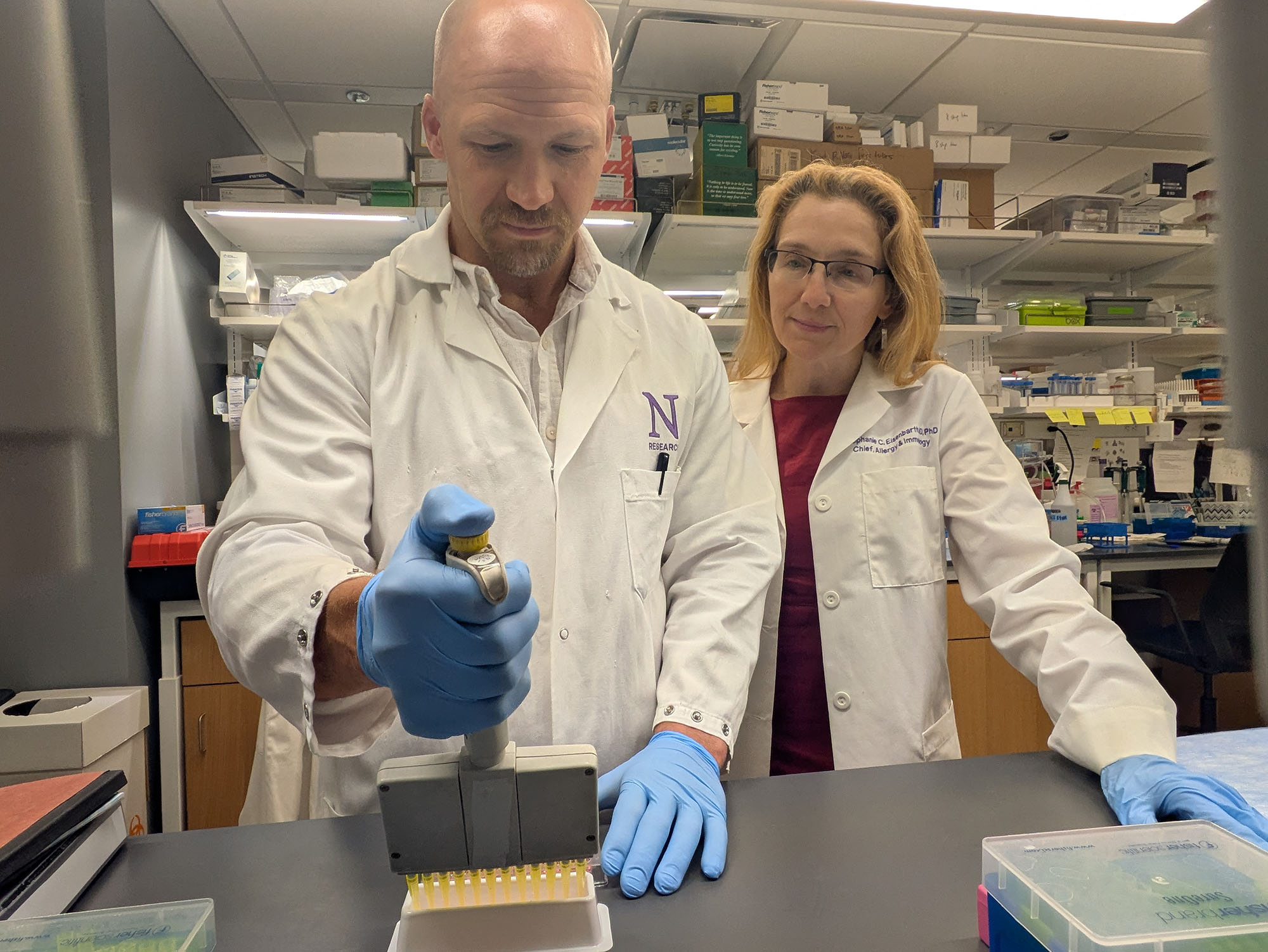 Asthma Drug Blocks Food Allergy Reactions in Mice