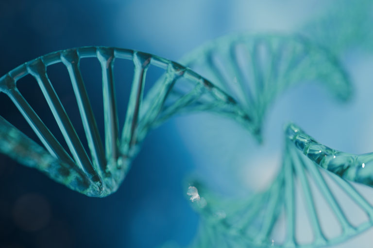 Spatial Transcriptomics Guides Inflammatory Bowel Disease Research