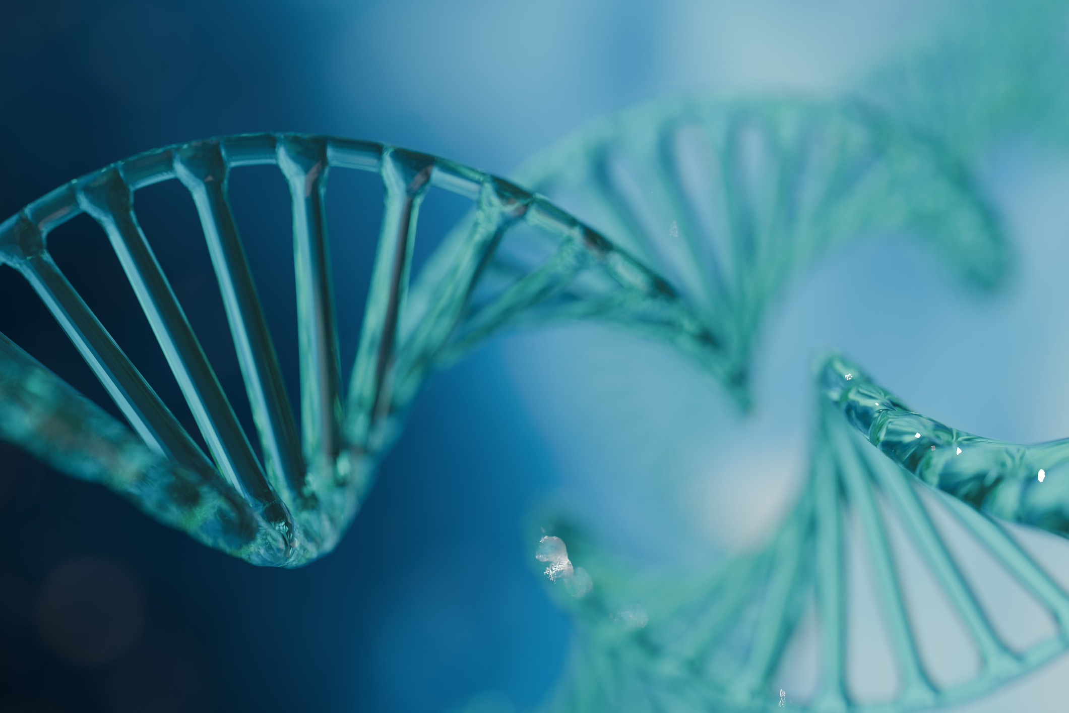 RNA Isoform Atlas May Improve Understanding of Cardiovascular Disease