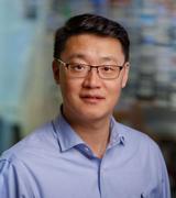 Weiguo Cui, PhD, professor of Pathology in the Division of Experimental Pathology, poses for a headshot.